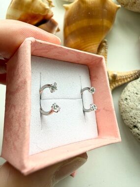 Pierced Universe Titanium Horseshoe Earrings